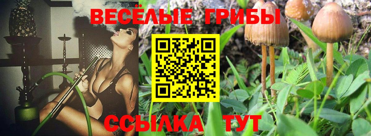 Галлюциногенные грибы GOLDEN TEACHER Протвино